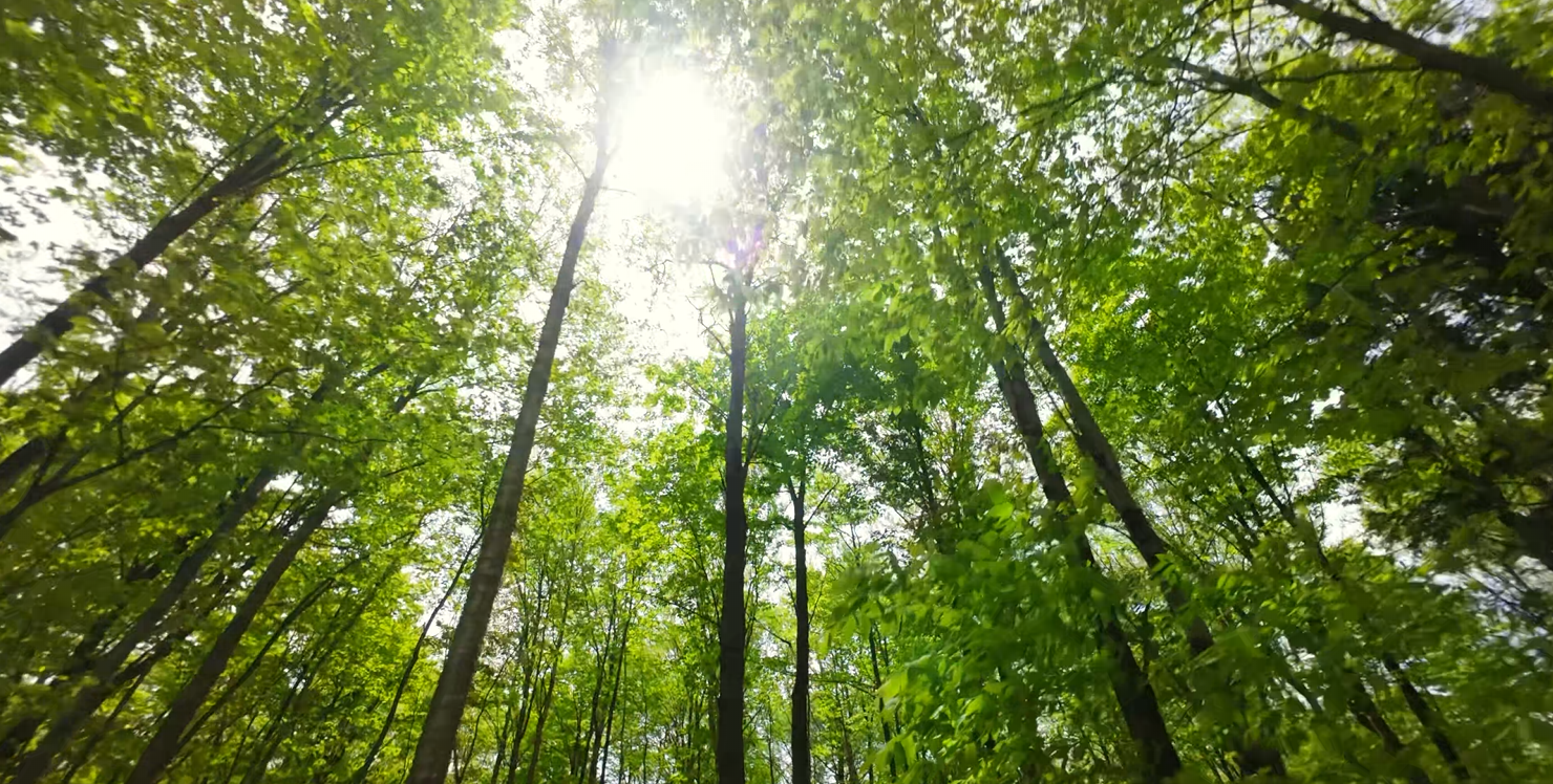 Nature protégée